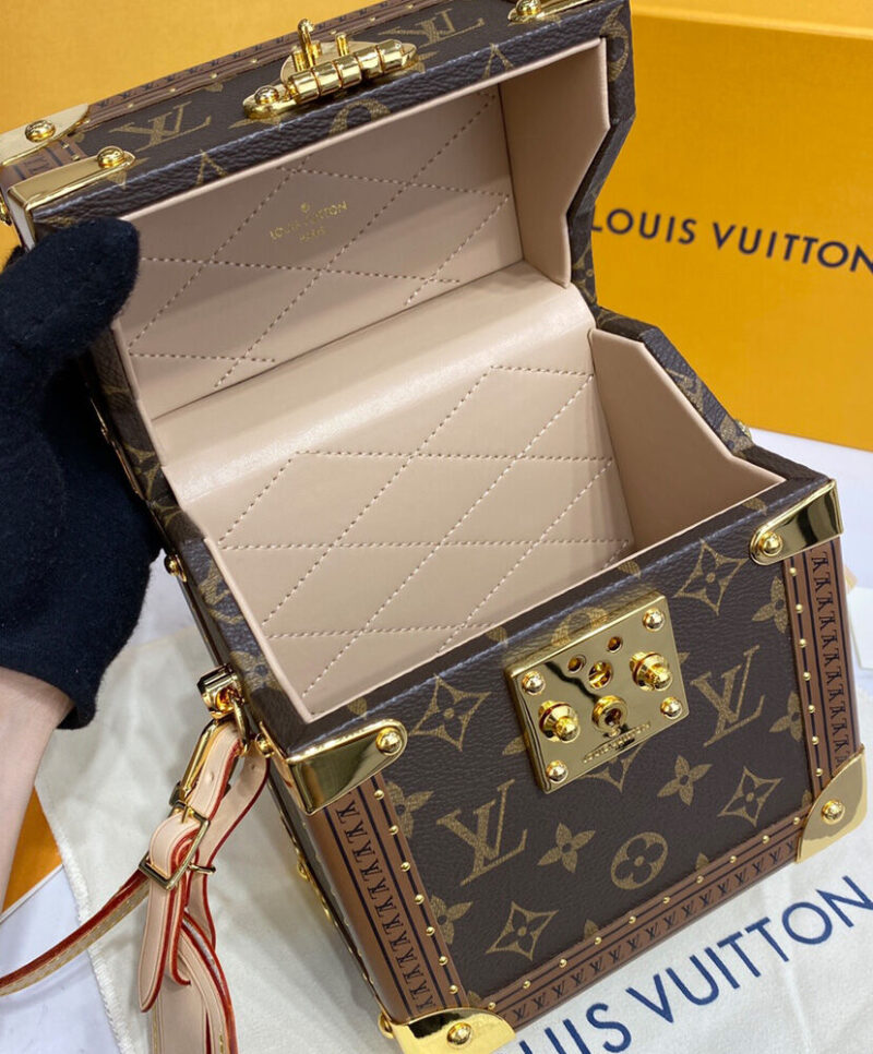 Louis Vuitton Camera Box M10079 Brown